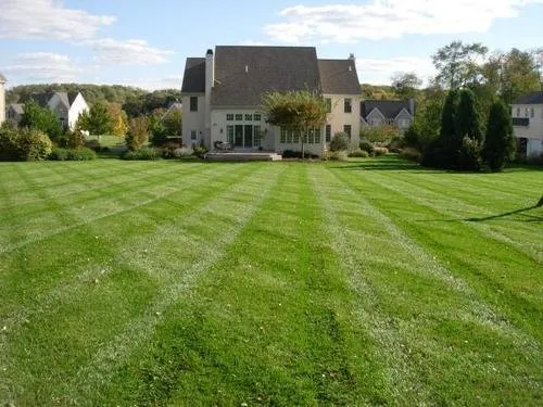 Expert yard maintenance in West Chester, PA - Dana Bellafiore Lawn and Landscape