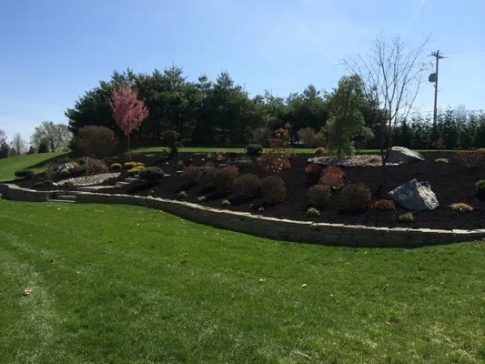 Dana Bellafiore Lawn and Landscape Logo