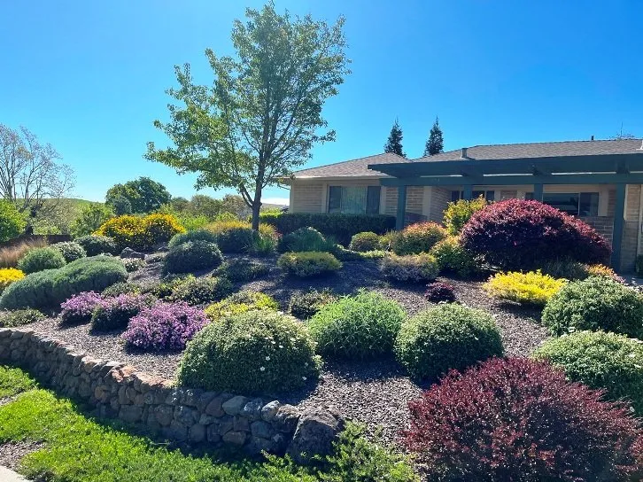 Custom lawn care service experts serving Pacheco, CA - Dana Lund Landscaping