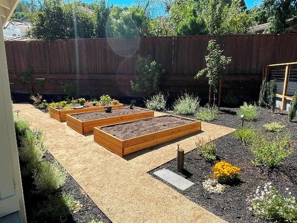 Top-rated outdoor landscaping for year-round maintenance in Pacheco, CA by Dana Lund Landscaping