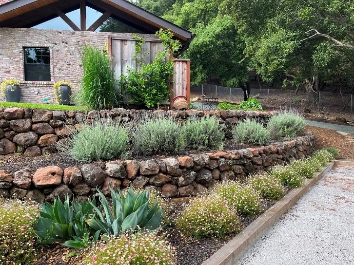 Top-rated landscape installation in Pacheco, CA - Dana Lund Landscaping