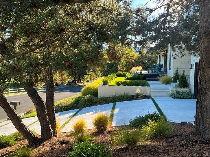 Professional landscape design for year-round maintenance across Pacheco, CA - Dana Lund Landscaping