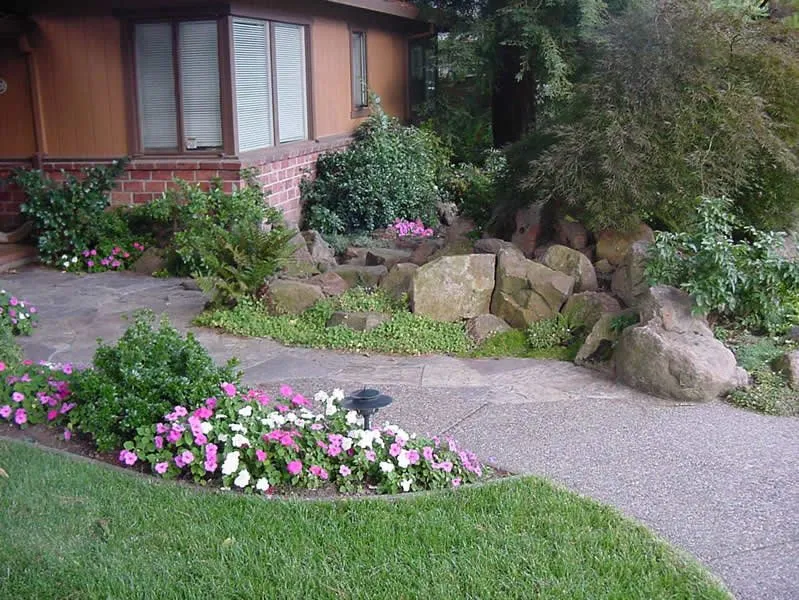 Expert lawn care service in San Ramon, CA - Dana Lund Landscaping