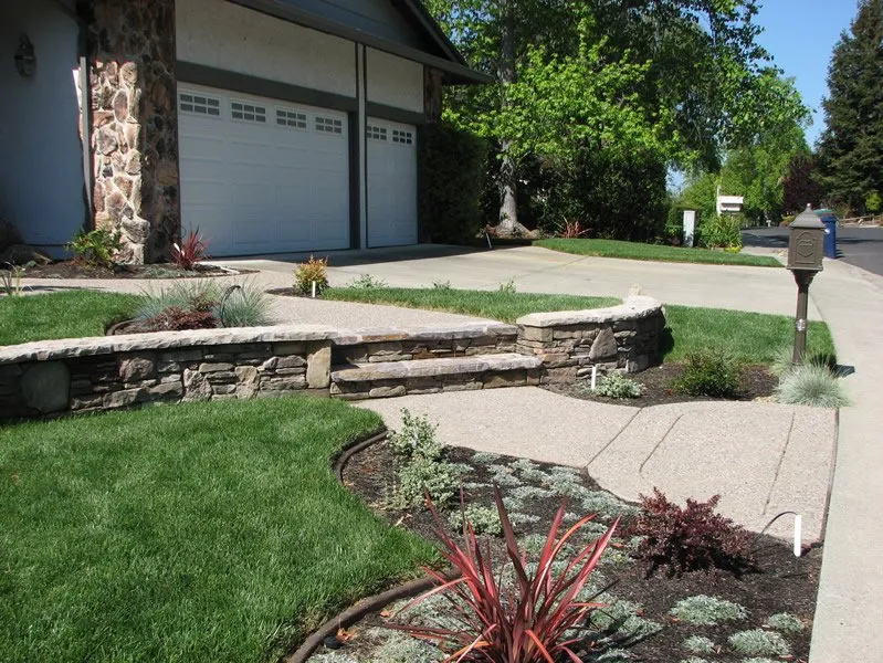 Custom yard cleanup service near you across San Ramon, CA - Dana Lund Landscaping