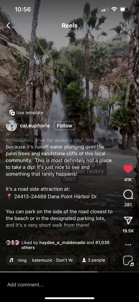 Reliable landscaping services for beautiful yards across Dana Point, CA - Dana Point Waterfall