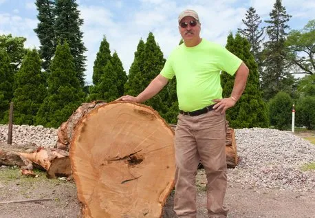 Expert landscape design in Winona, MN by Dana's Landscaping & Lawn Care