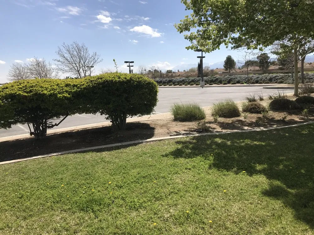 Reliable lawn mowing service in Lancaster, CA by Dancing Sun Landscapes