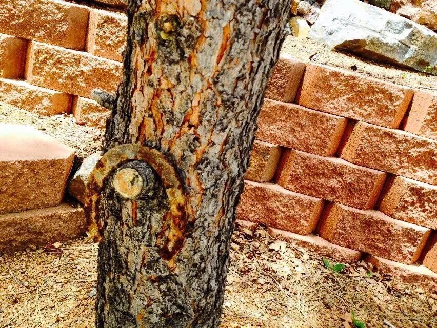 Affordable landscape installation experts serving Colorado Springs, CO - Danco Construction