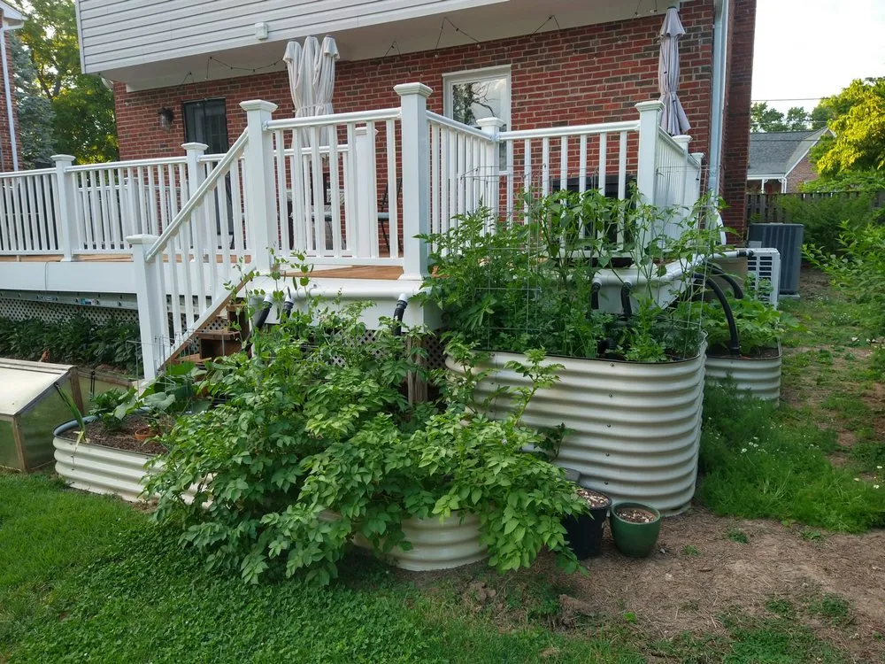 Local landscape design in Hyattsville, MD - Dandelion Foodscapes