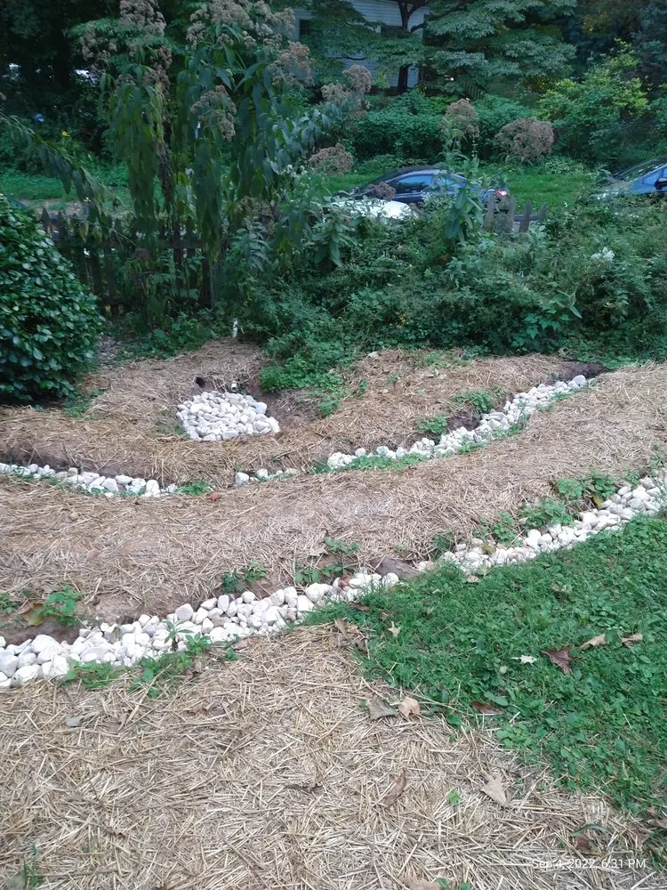 Professional lawn care service for year-round maintenance in Hyattsville, MD by Dandelion Foodscapes