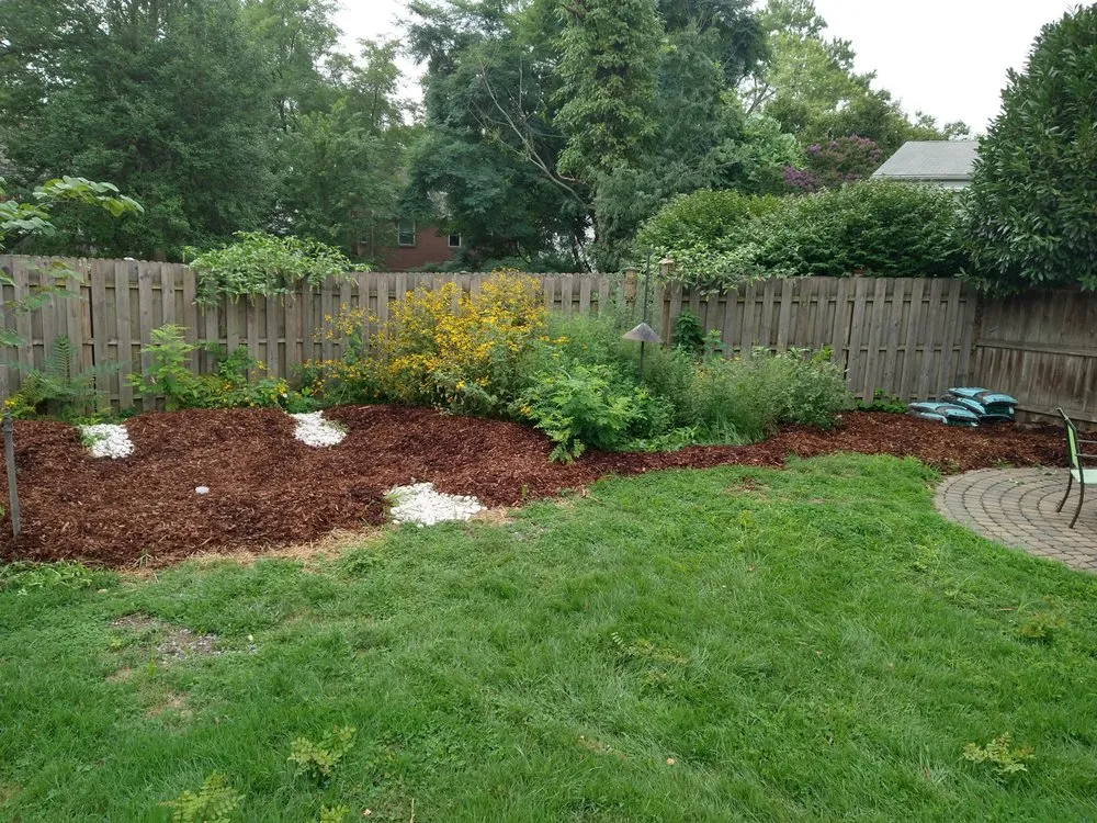 Professional yard cleanup service for year-round maintenance across Hyattsville, MD - Dandelion Foodscapes