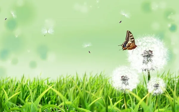 Dandelion Landscaping & House Keeping Logo