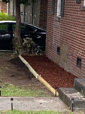 Dandre lawn care Logo