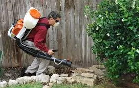 Professional outdoor landscaping in Dandridge, TN by Dandridge Pest Control