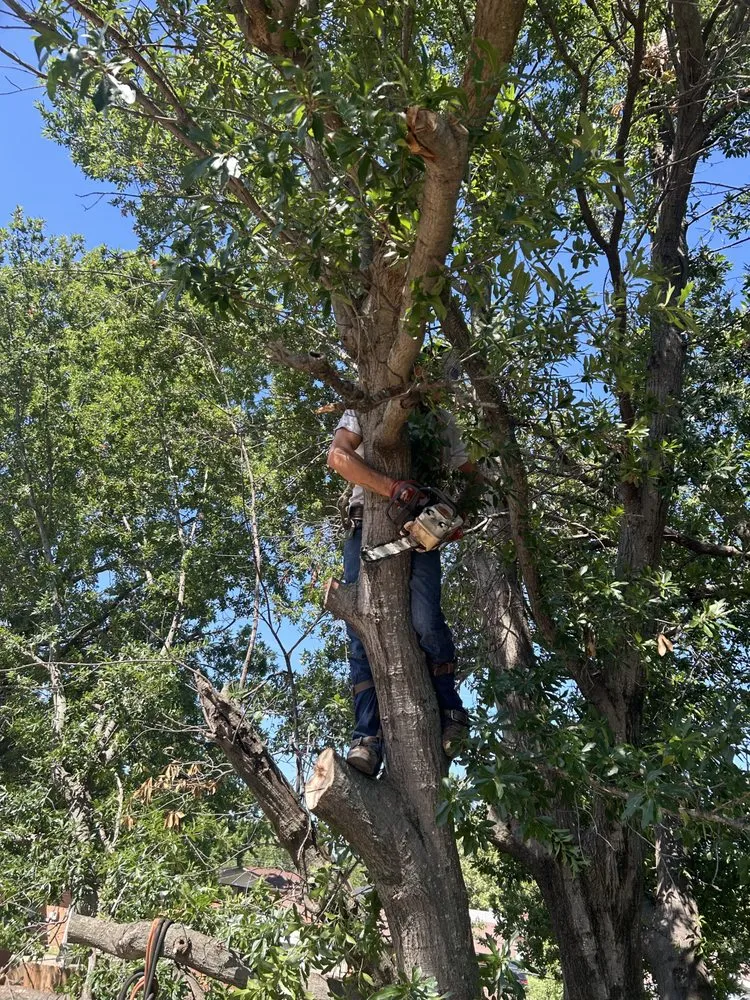 Trusted landscaping services for homes in Collinsville, OK by Dandy Dun Solutions