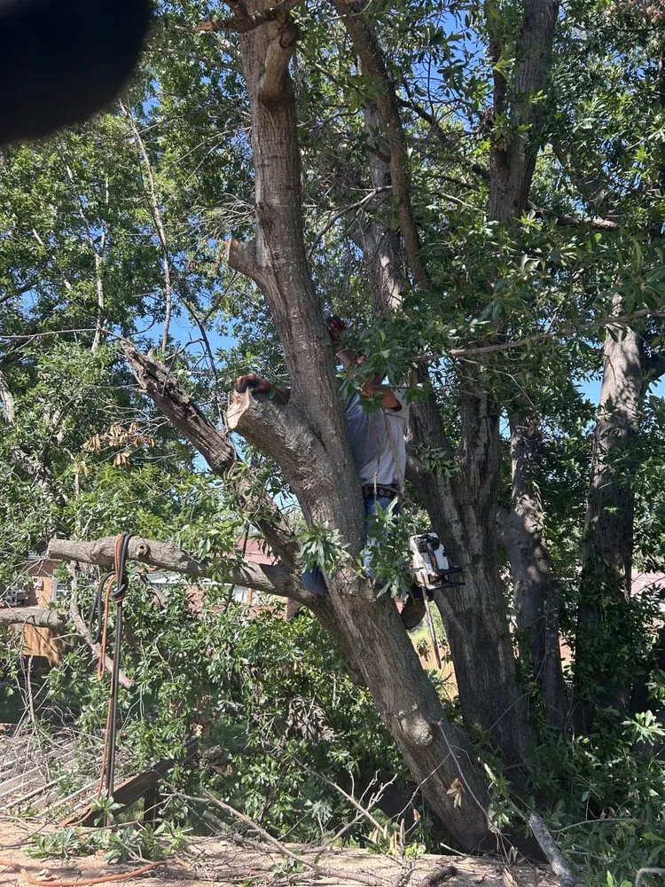 Top-rated residential landscaping in Collinsville, OK - Dandy Dun Solutions