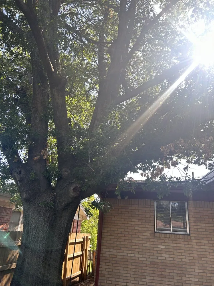 Affordable landscape installation experts serving Collinsville, OK - Dandy Dun Solutions