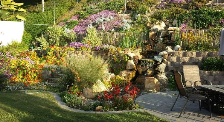 Expert landscape design near you across Escondido, CA - Dandy Landscape Construction