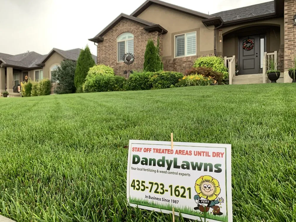 Trusted yard cleanup service with custom design in Brigham City, UT by DandyLawns D-Bug