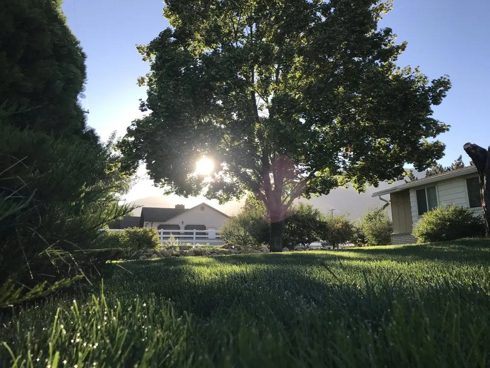 Expert landscape design in Brigham City, UT by DandyLawns D-Bug