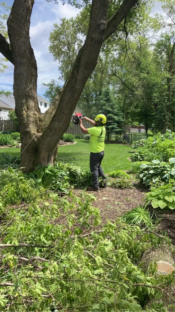 Professional yard cleanup service in Sauk City, WI - Dane County Tree Company