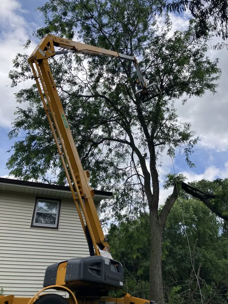 Professional landscaping services in Sauk City, WI - Dane County Tree Company