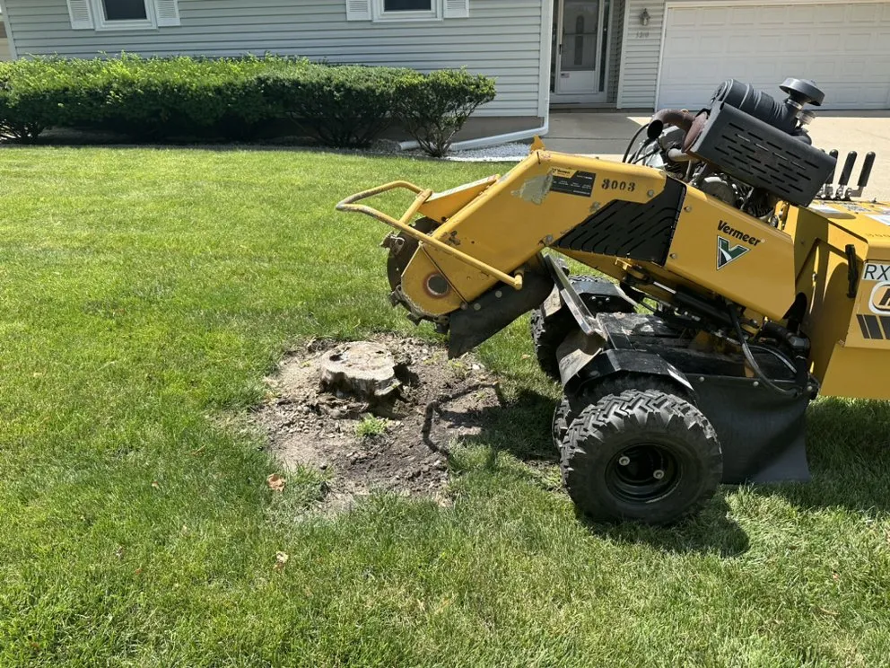 Local landscape installation for beautiful yards in Sauk City, WI by Dane County Tree Company