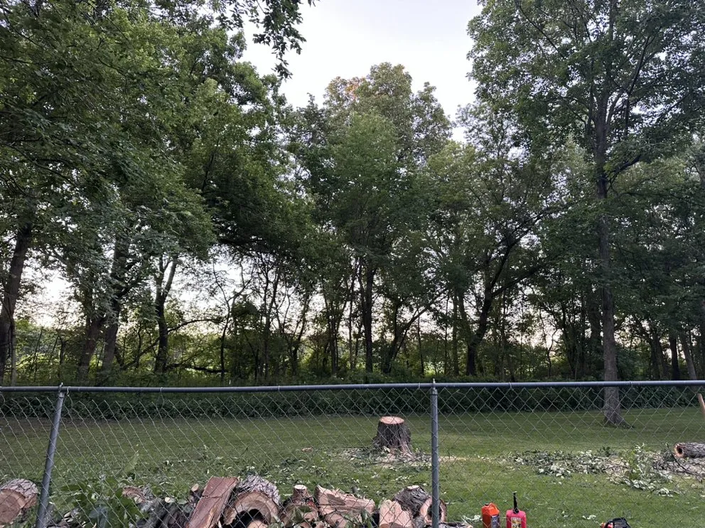 Trusted yard maintenance in Sauk City, WI by Dane County Tree Company