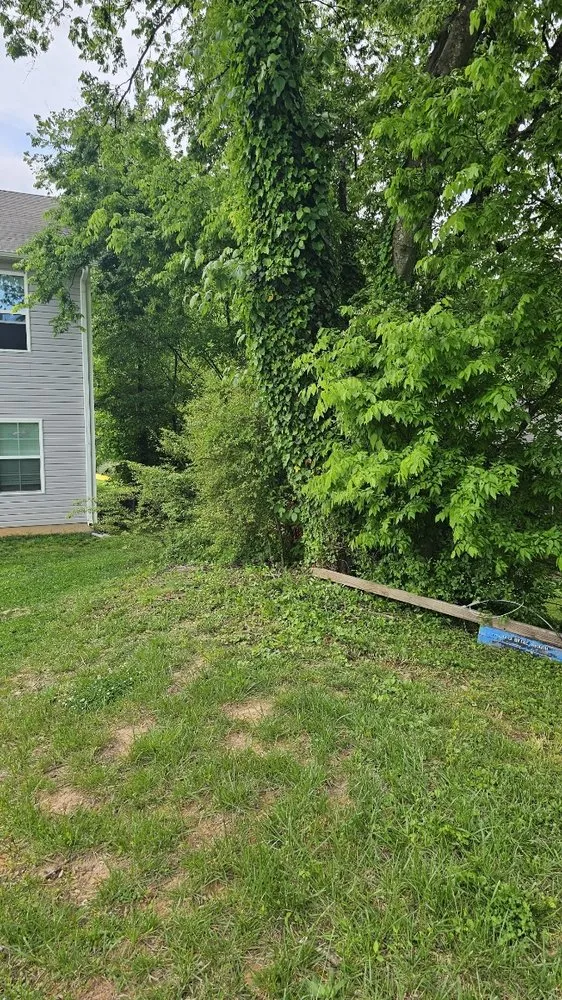 Reliable outdoor landscaping experts serving Harmony, NC - Dane’s Landscaping & Home Repair