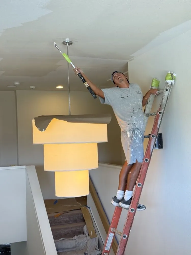 Top-rated yard maintenance in Dallas, TX - Danforth Painting