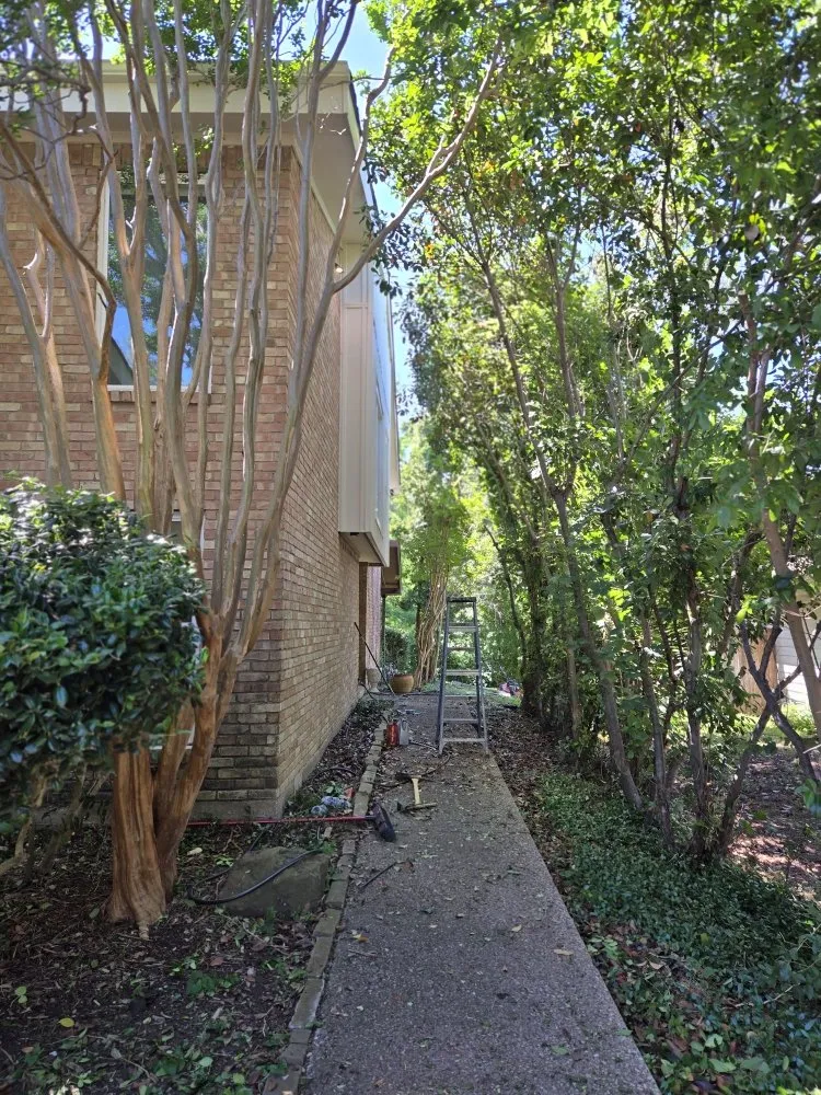 Custom yard cleanup service in Dallas, TX - Danforth Painting