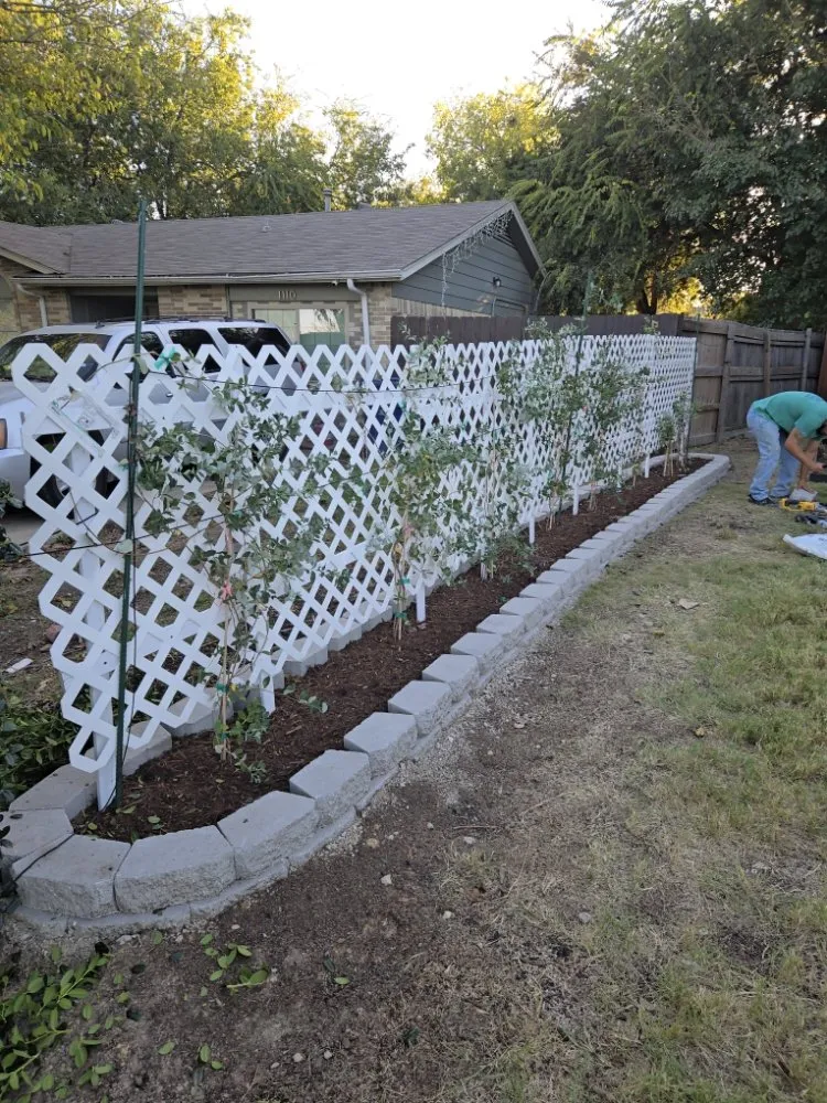 Top-rated residential landscaping for residential properties across Dallas, TX - Danforth Painting