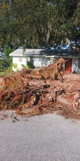 Affordable lawn mowing service in North Port, FL by Dangeleo Property Service