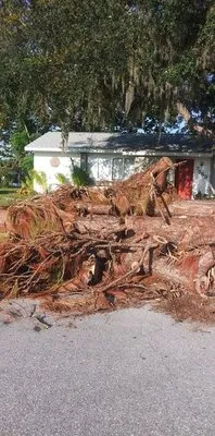 Dangeleo Property Service Logo