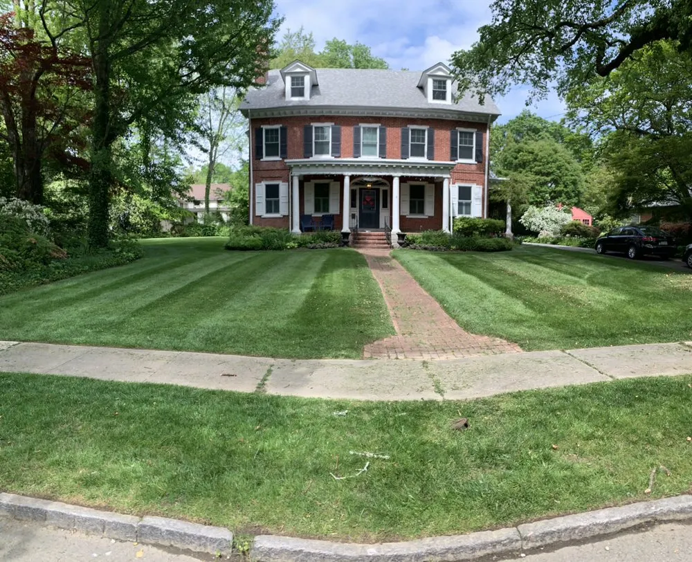 Trusted yard cleanup service in Rutledge, PA - D’Angelo landscaping