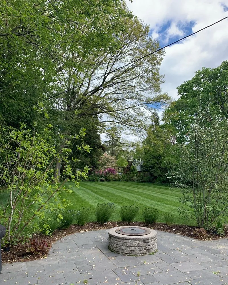 Affordable yard cleanup service for beautiful yards in Rutledge, PA by D’Angelo landscaping