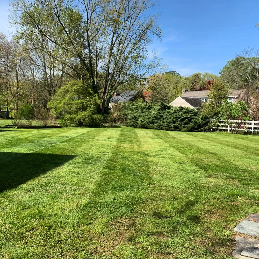 Affordable landscape design in Rutledge, PA - D’Angelo landscaping