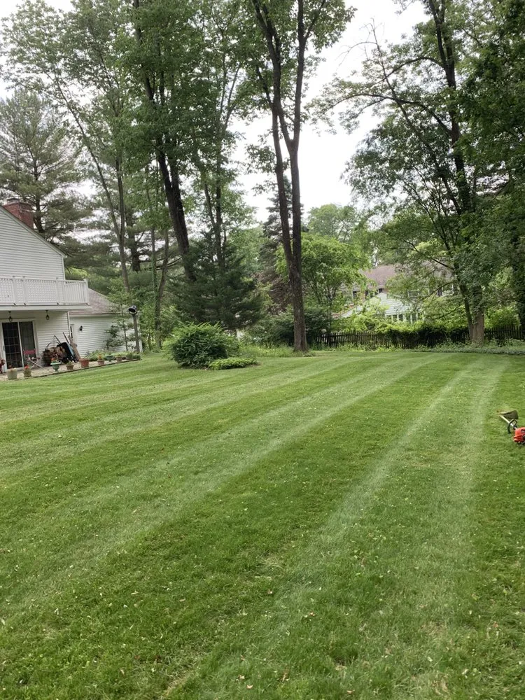 Professional garden landscaping in Rutledge, PA - D’Angelo landscaping