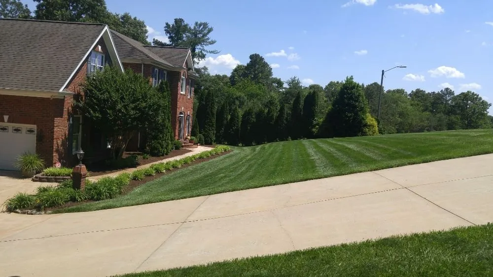 Affordable outdoor landscaping for homes in Beaufort, SC by Dangelo Property Care