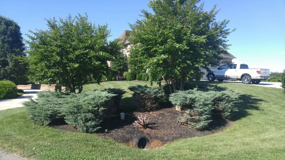 Professional landscaping services for outdoor upgrades across Beaufort, SC - Dangelo Property Care