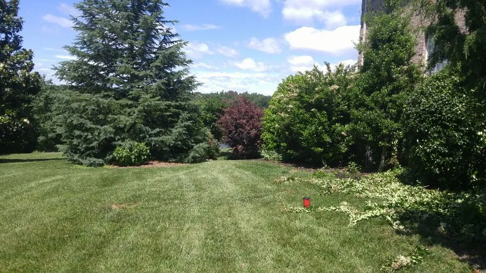 Expert landscape installation in Beaufort, SC by Dangelo Property Care