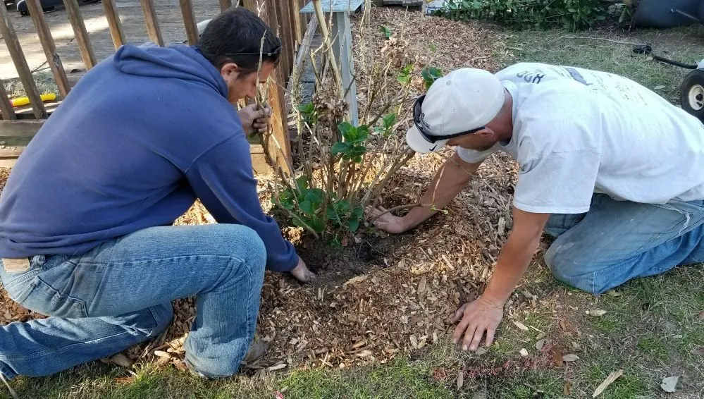 Professional garden landscaping in Beaufort, SC - Dangelo Property Care