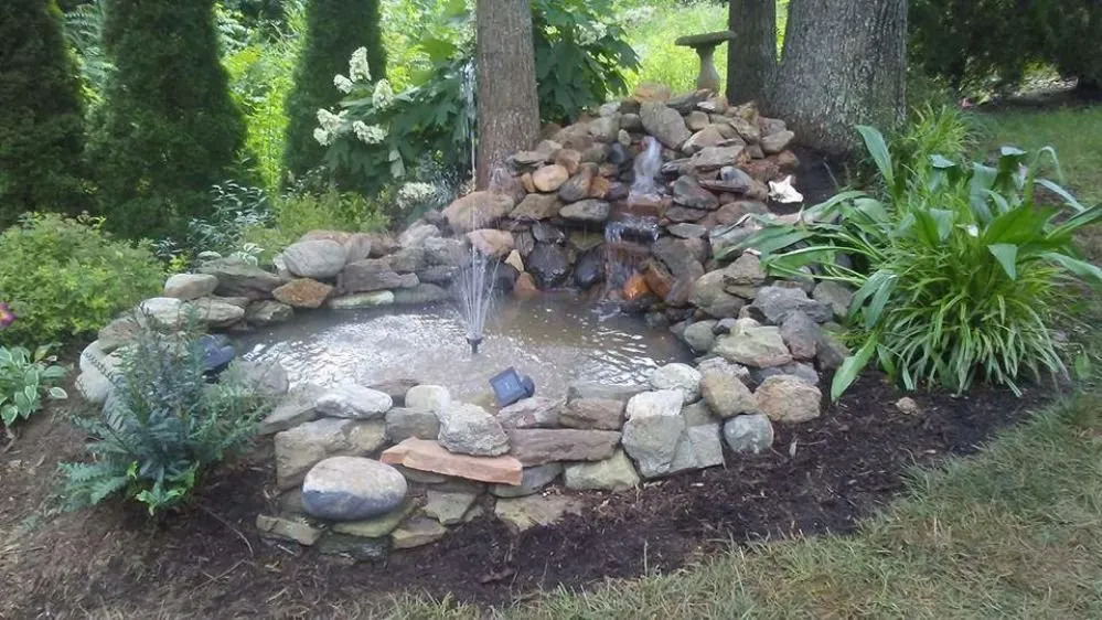 Affordable outdoor landscaping for residential properties in Beaufort, SC by Dangelo Property Care