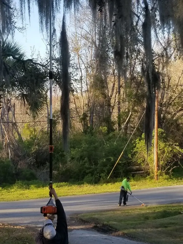 Custom lawn care service in Beaufort, SC - Dangelo Property Care