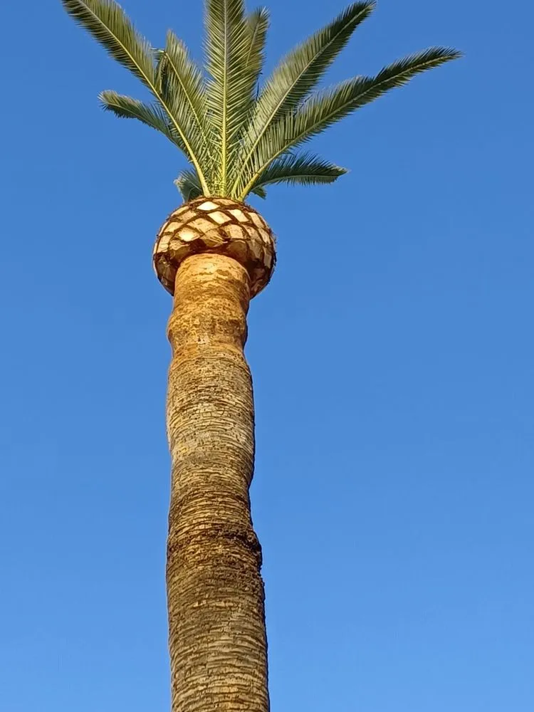 Local landscape installation in Hanford, CA - Dangi´s Landscaping and Tree Services