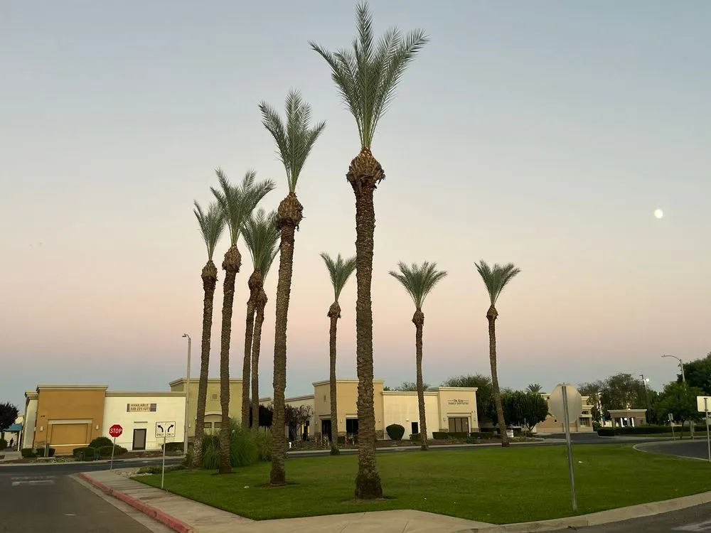 Trusted yard maintenance in Hanford, CA - Dangi´s Landscaping and Tree Services