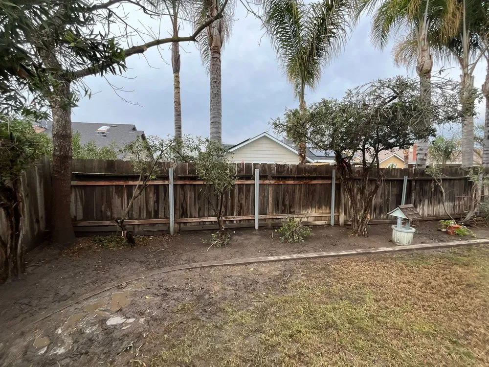 Professional landscape design in Hanford, CA by Dangi´s Landscaping and Tree Services