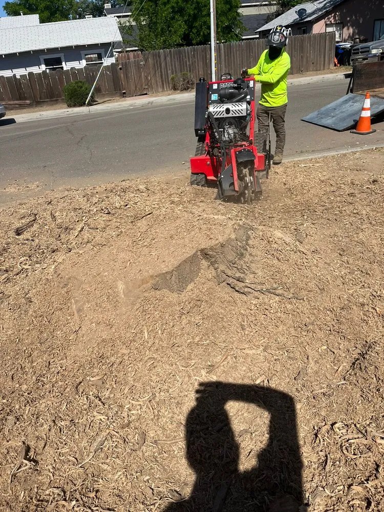 Local garden landscaping in Hanford, CA by Dangi´s Landscaping and Tree Services