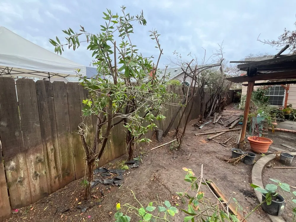 Custom outdoor landscaping for year-round maintenance in Hanford, CA by Dangi´s Landscaping and Tree Services