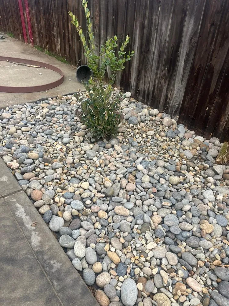 Trusted yard maintenance for residential properties in Hanford, CA by Dangi´s Landscaping and Tree Services